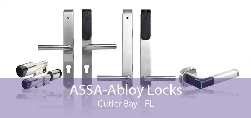 ASSA-Abloy Locks Cutler Bay - FL