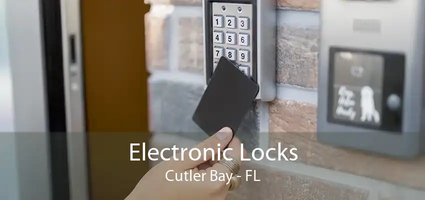 Electronic Locks Cutler Bay - FL