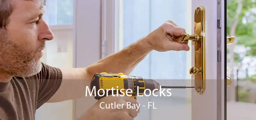 Mortise Locks Cutler Bay - FL